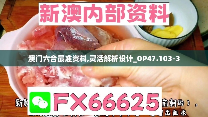 澳门六合最准资料,灵活解析设计_OP47.103-3