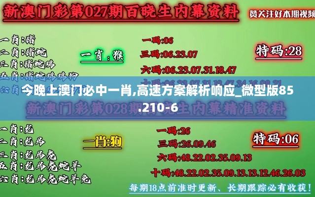 今晚上澳门必中一肖,高速方案解析响应_微型版85.210-6