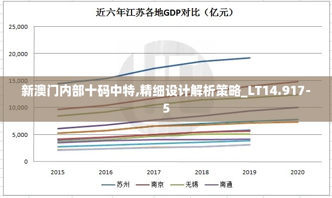 新澳门内部十码中特,精细设计解析策略_LT14.917-5
