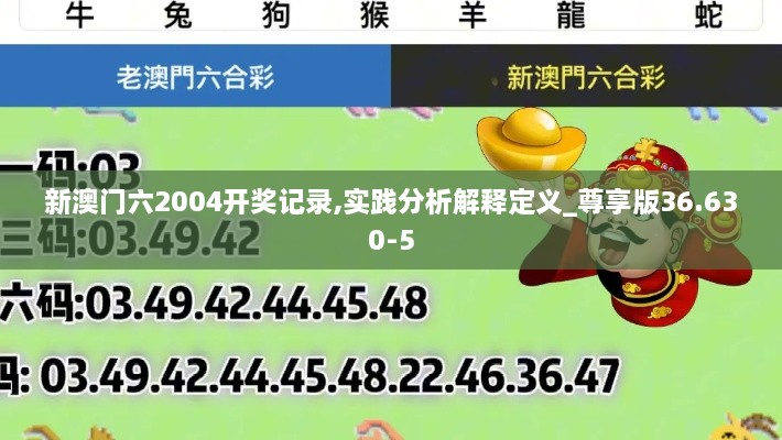 新澳门六2004开奖记录,实践分析解释定义_尊享版36.630-5
