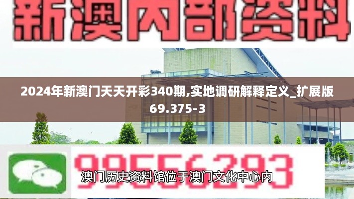 2024年新澳门天天开彩340期,实地调研解释定义_扩展版69.375-3