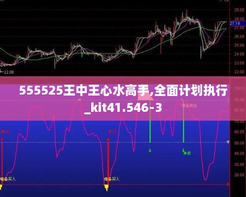 555525王中王心水高手,全面计划执行_kit41.546-3