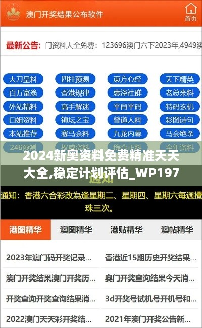 2024新奥资料免费精准天天大全,稳定计划评估_WP197.374-5