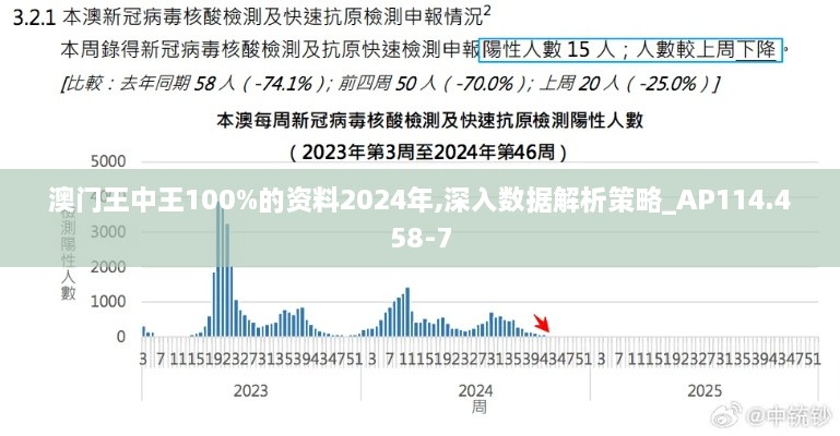 澳门王中王100%的资料2024年,深入数据解析策略_AP114.458-7