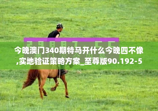 今晚澳门340期特马开什么今晚四不像,实地验证策略方案_至尊版90.192-5