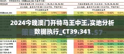 2024今晚澳门开特马王中王,实地分析数据执行_CT39.341
