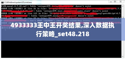 4933333王中王开奖结果,深入数据执行策略_set48.218