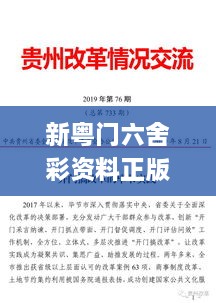 新粤门六舍彩资料正版,实践案例解析说明_旗舰款32.784