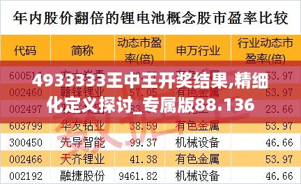 4933333王中王开奖结果,精细化定义探讨_专属版88.136