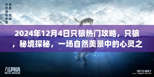 只狼秘境探秘，心灵之旅的终极攻略（最新更新）