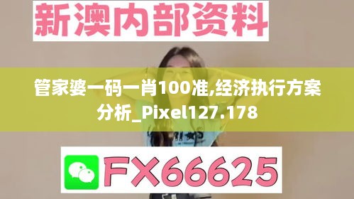管家婆一码一肖100准,经济执行方案分析_Pixel127.178