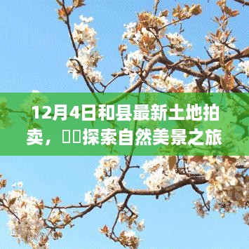 探索自然美景之旅
