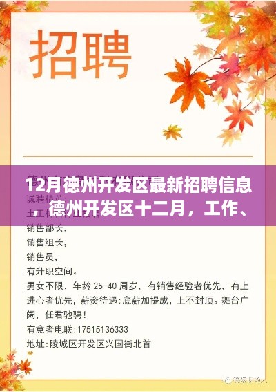德州开发区十二月招聘热潮，工作、友情与家的和谐交响
