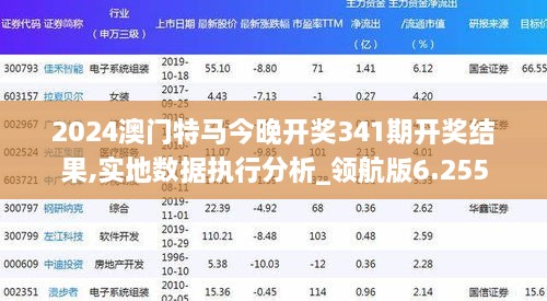 2024澳门特马今晚开奖341期开奖结果,实地数据执行分析_领航版6.255