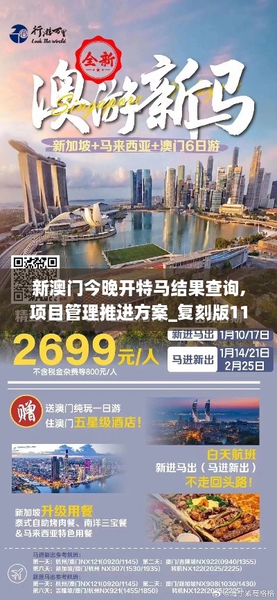 新澳门今晚开特马结果查询,项目管理推进方案_复刻版110.157