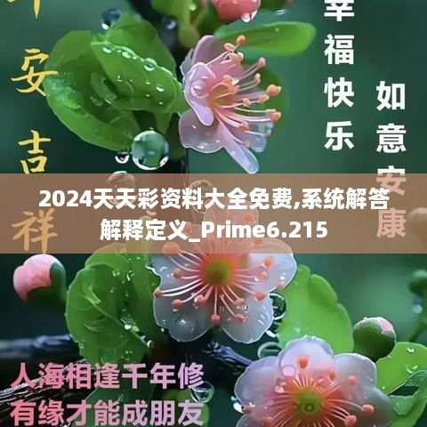 2024天天彩资料大全免费,系统解答解释定义_Prime6.215