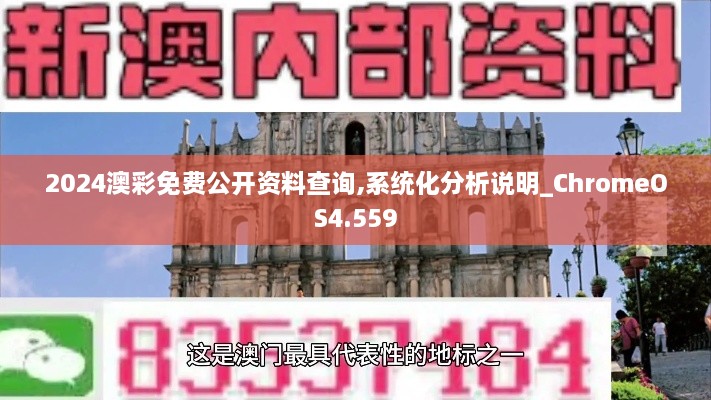 2024澳彩免费公开资料查询,系统化分析说明_ChromeOS4.559