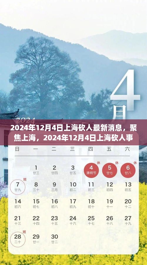 2024年12月4日上海砍人事件最新进展与深度解析