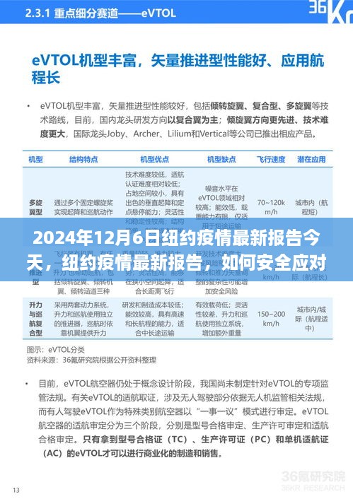纽约疫情最新报告解读与应对指南，全方位指南初学者与进阶用户必备（2024年12月版）