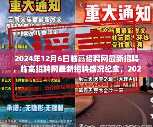 临高招聘网盛况纪实，最新招聘与行业新动向纪实（XXXX年XX月XX日）