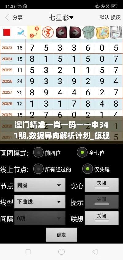 澳门精准一肖一码一一中341期,数据导向解析计划_旗舰版3.729