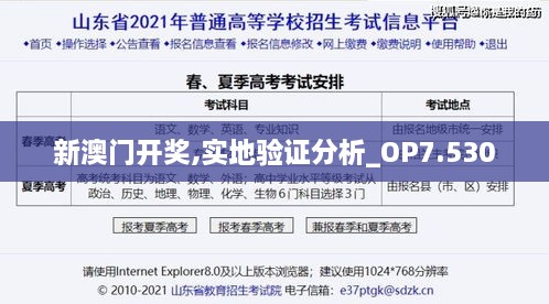 新澳门开奖,实地验证分析_OP7.530