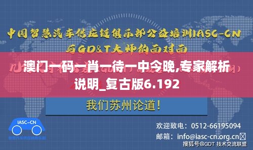 澳门一码一肖一待一中今晚,专家解析说明_复古版6.192