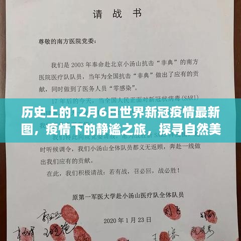 12月6日全球疫情最新动态，探寻自然美景中的静谧与内心平和