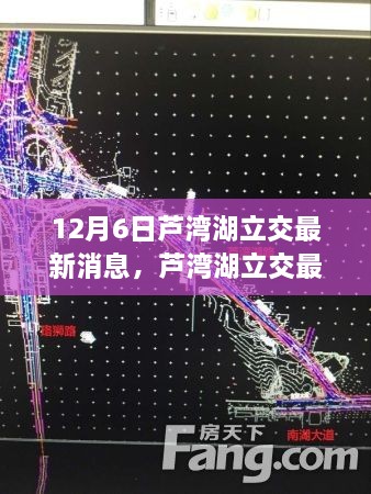 mingmuzhangdan 第11页