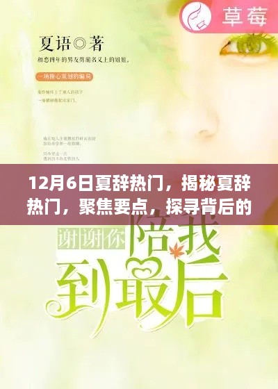 揭秘夏辞热门背后的故事，聚焦要点探寻真相，12月6日热议不断