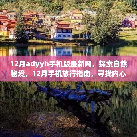 12月手机旅行指南，探索自然秘境，寻找内心的宁静与平和