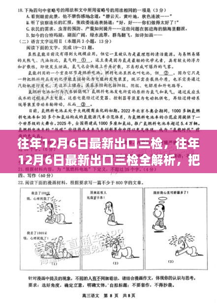 往年12月6日最新出口三检详解，助力外贸趋势与航程新动力