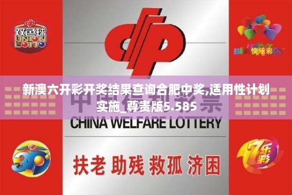 新澳六开彩开奖结果查询合肥中奖,适用性计划实施_尊贵版5.585