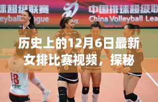 bainiaozhaofeng 第11页