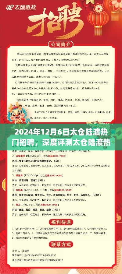 太仓陆渡热门招聘深度测评，探寻招聘市场新标杆