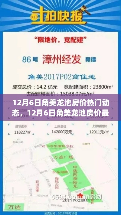 yizhangyichi 第12页