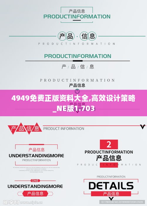 4949免费正版资料大全,高效设计策略_NE版1.703