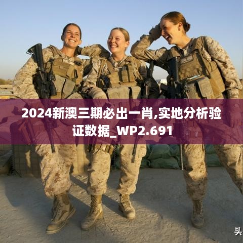 2024新澳三期必出一肖,实地分析验证数据_WP2.691