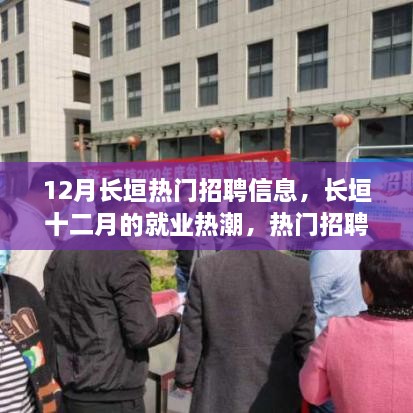 12月长垣就业热潮，热门招聘信息深度解析
