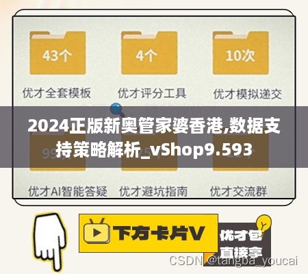 2024正版新奥管家婆香港,数据支持策略解析_vShop9.593