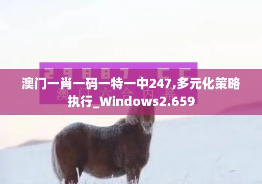 澳门一肖一码一特一中247,多元化策略执行_Windows2.659