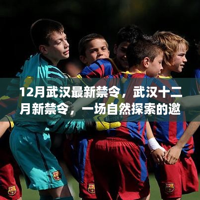 武汉十二月新禁令，自然探索之旅，寻找内心的宁静与喧嚣告别