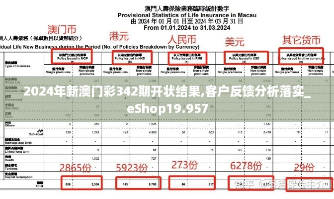 2024年新澳门彩342期开状结果,客户反馈分析落实_eShop19.957