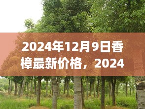 jiyechengqiu 第9页