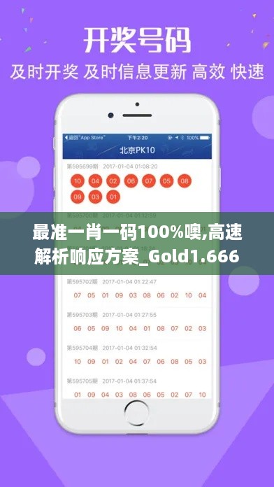 最准一肖一码100%噢,高速解析响应方案_Gold1.666