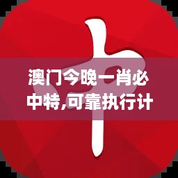 澳门今晚一肖必中特,可靠执行计划_旗舰版9.256