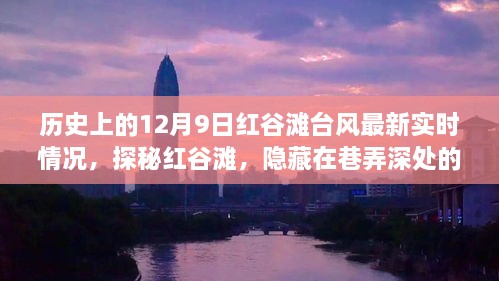 历史上的12月9日红谷滩台风最新实时情况，探秘红谷滩，隐藏在巷弄深处的特色小店与台风故事