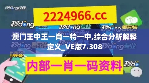 澳门王中王一肖一特一中,综合分析解释定义_VE版7.308