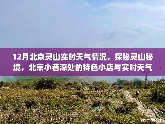 mupingzigui 第10页