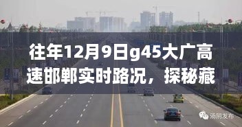 feizhubengyu 第9页